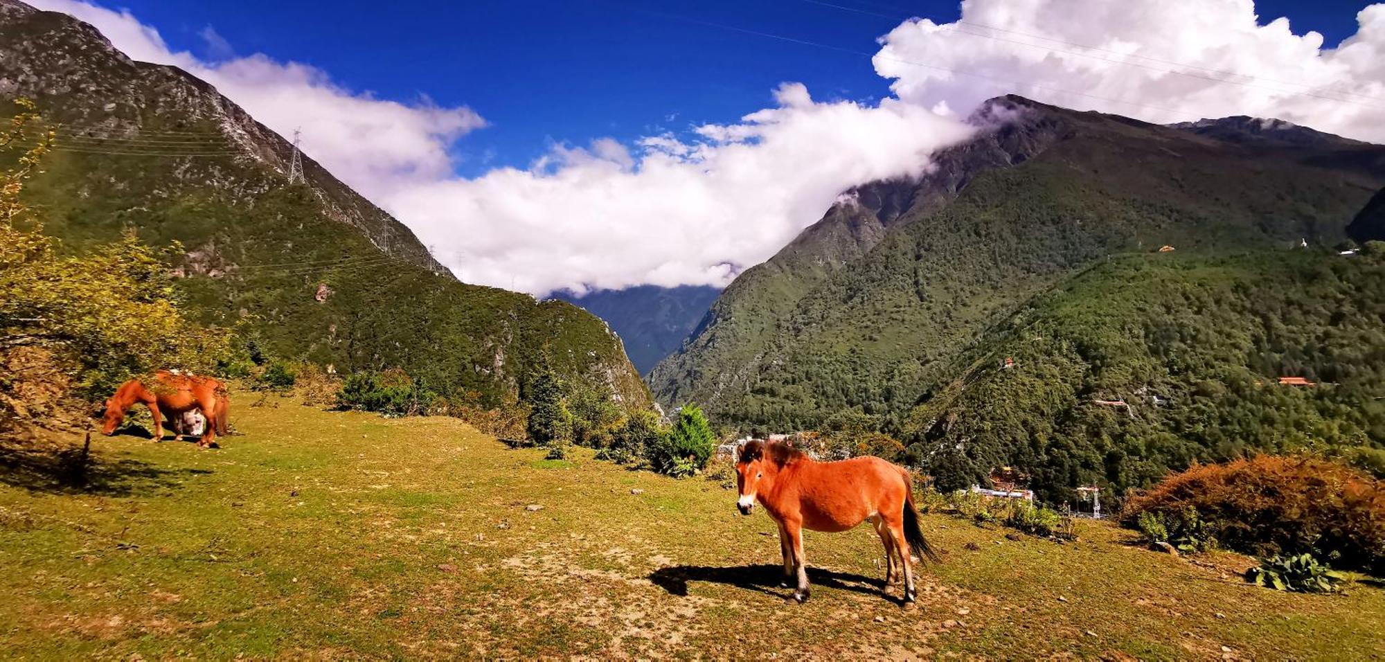 Kangding Guozhuang Nan Wu Hao Boutique Inn Zewnętrze zdjęcie